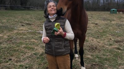 Grooming avec une jument pendant l'atelier d'équicoaching