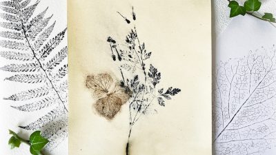 Impression végétale stage d'initiation à la technique du Monotype