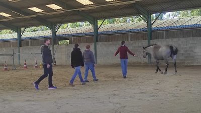 Incarner l'objectif à plusieurs pendant le stage d'équicoaching