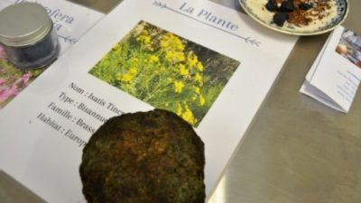 Boule de cocagne pendant l'atelier ou stage de teinture indigo chez un teinturier