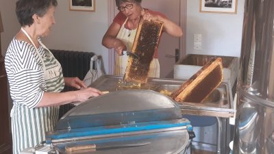 Production de miel dans la miellerie pendant le stage d'apiculteur en apiculture entre Toulouse, Albi et Castres