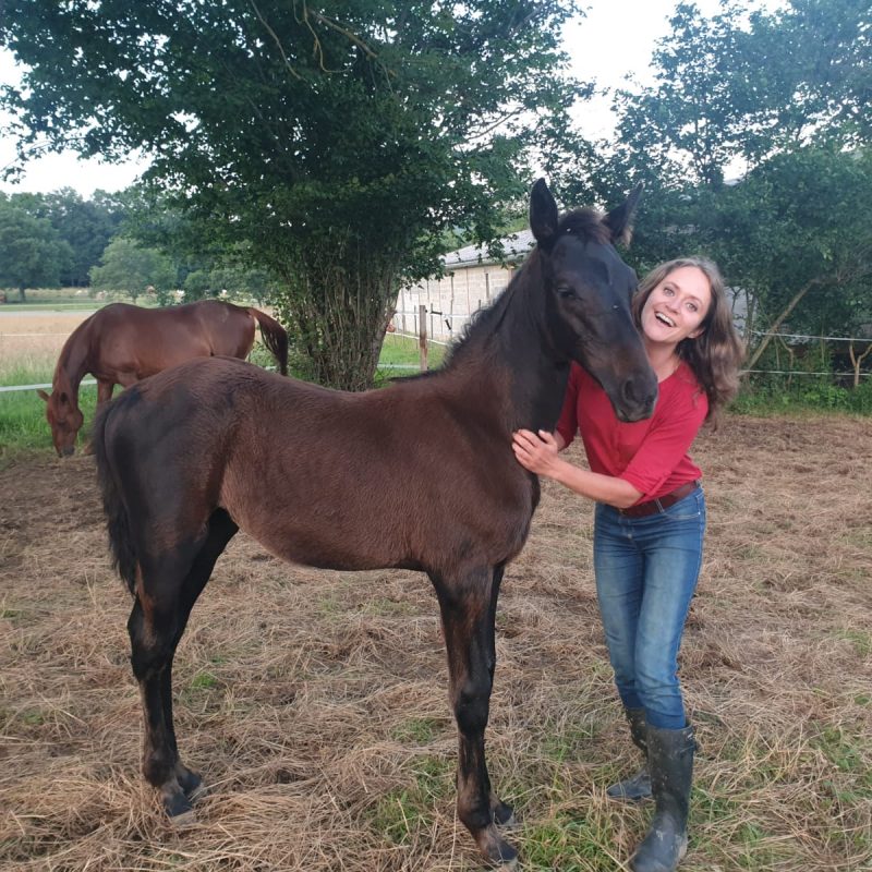Anne-Laure Egre, coach en equicoaching
