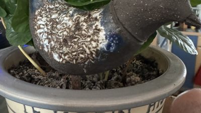 Oiseau en grés noir fait pendant un stage de céramique