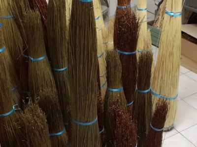 Osier en bottes pendant le formation vannerie dans le Gers avec un vannier