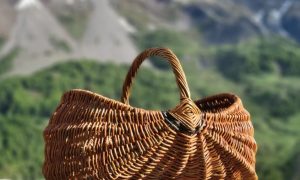 Panier en osier au cours de la formation vannerie avec un vannier en Provence Alpes Côtes d'Azur