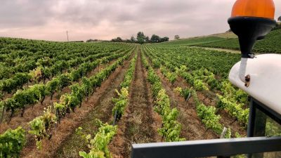 Vue du tracteur pendant l'atelier et le stage vigneron à Gaillac
