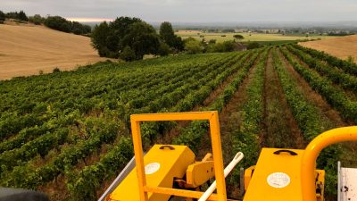 Vue de l'enjambeur pendant l'atelier vigneron à Gaillac