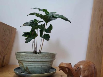 Poterie pendant la formation céramique avec une céramiste entre Chartres et Orléans