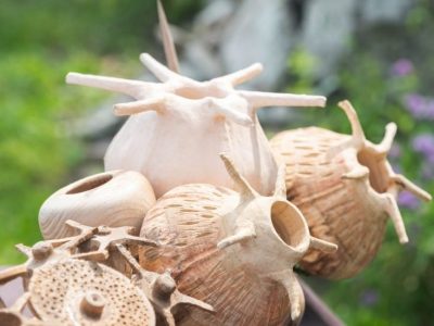 Récif formation Tourneur sur bois entre Grenoble et Chambéry