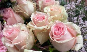 Roses pendant la formation fleuriste à Paris