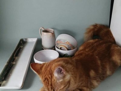 Surveillance active des poteries pendant la formation céramique en Gironde