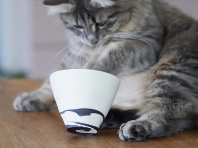 "Assistant" en céramique au cours de la formation avec une céramiste (pro) vers Nantes