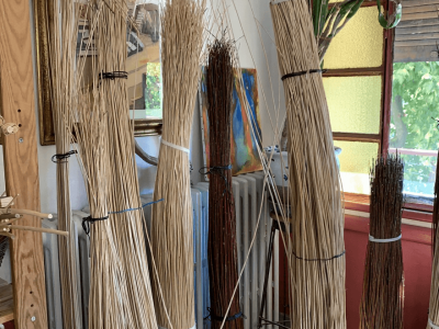 Tiges en osier dans l'atelier de Corinne Eldin, vannier, pendant la formation vannerie dans l'Hérault