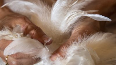 Confection d'un serre tête avec des plumes pendant le stage de plumasserie à Paris