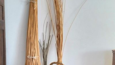 Panier et osier au cours du stage de vannerie avec un vannier