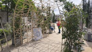 Stage dans l'univers du bambou