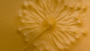 Fleurs stage de modelage du cuir - Marqueterie et gainerie à Paris